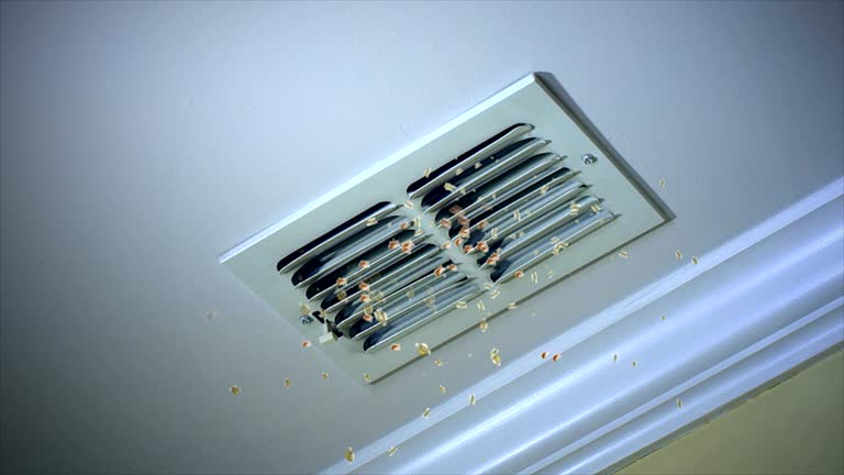 Best Affordable Duct Cleaning Services  in Bowmansville, PA