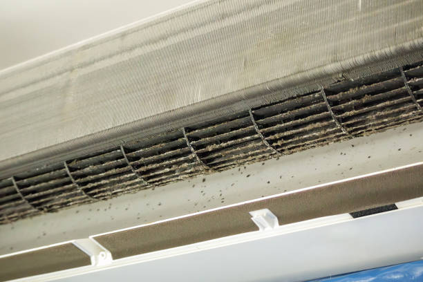 Best Commercial Air Duct Cleaning  in Bowmansville, PA